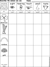 senses chart