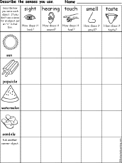 senses chart