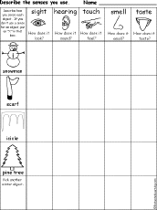 senses chart