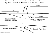 Label the Origin of a tsunami