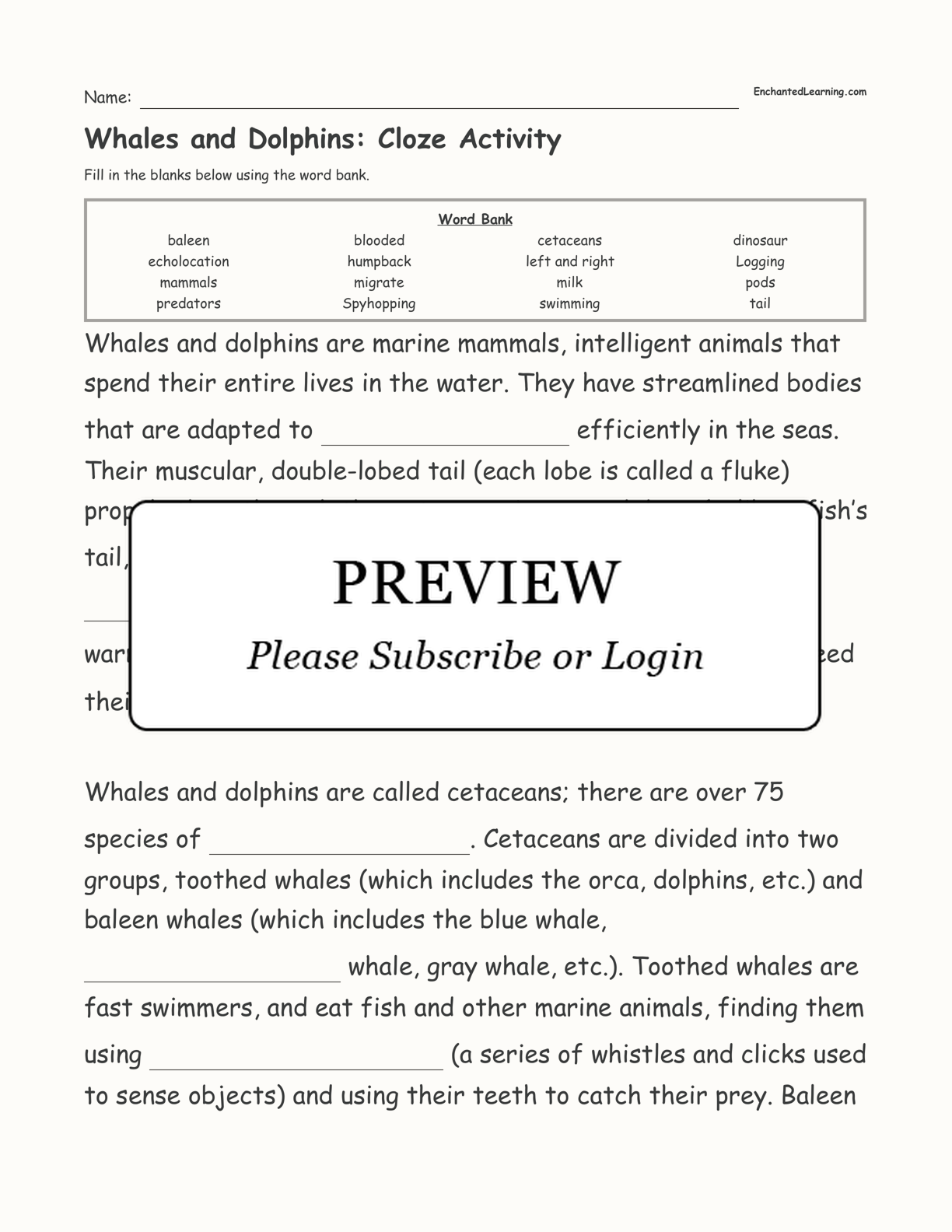 Whales and Dolphins: Cloze Activity interactive worksheet page 1