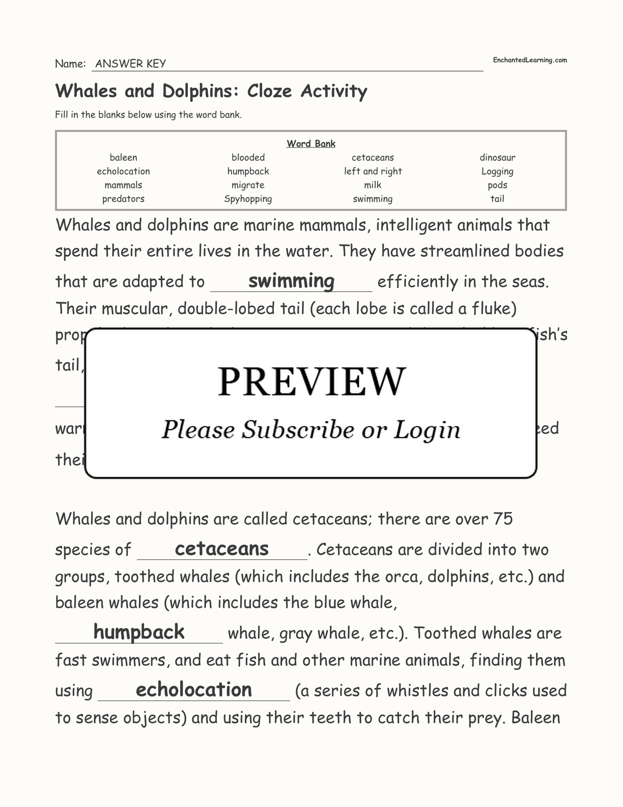 Whales and Dolphins: Cloze Activity interactive worksheet page 3