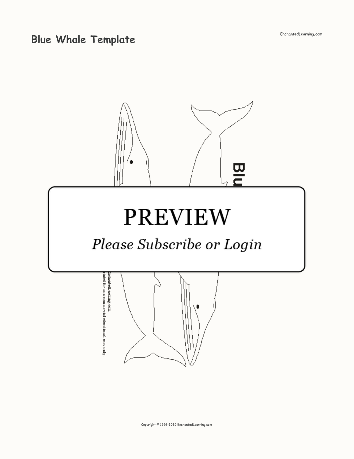 Blue Whale Template interactive printout page 1