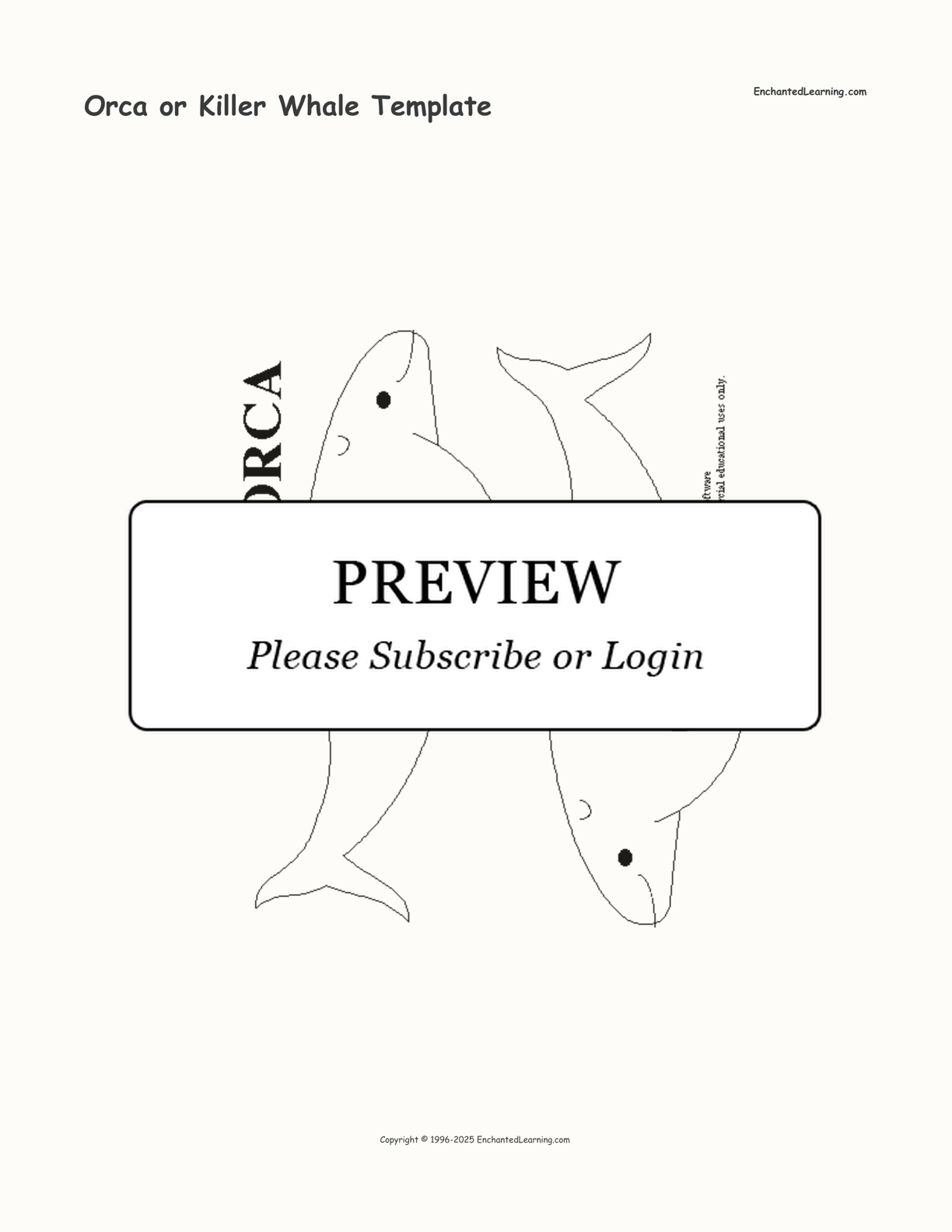 Orca or Killer Whale Template interactive printout page 1