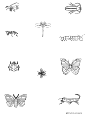 Search result: 'Draw Lines of Symmetry for Insects: Printable Worksheet'