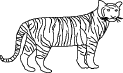 tiger