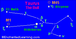 Taurus