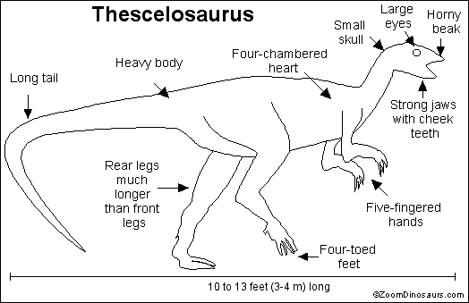 Thescelosaurus Printout 