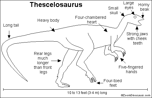 Dinosaur Information Chart