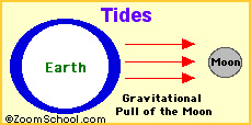 Tide force diagram