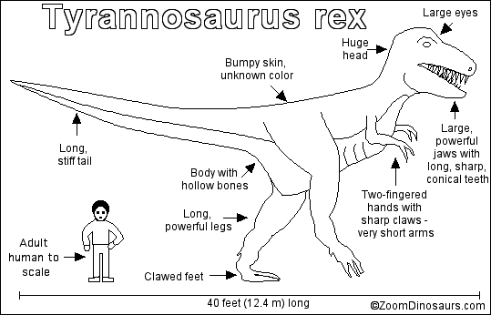 Search result: 'T. rex Printout'