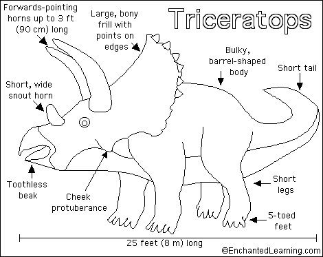 Search result: 'Triceratops Printout'