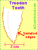 Troodon tooth