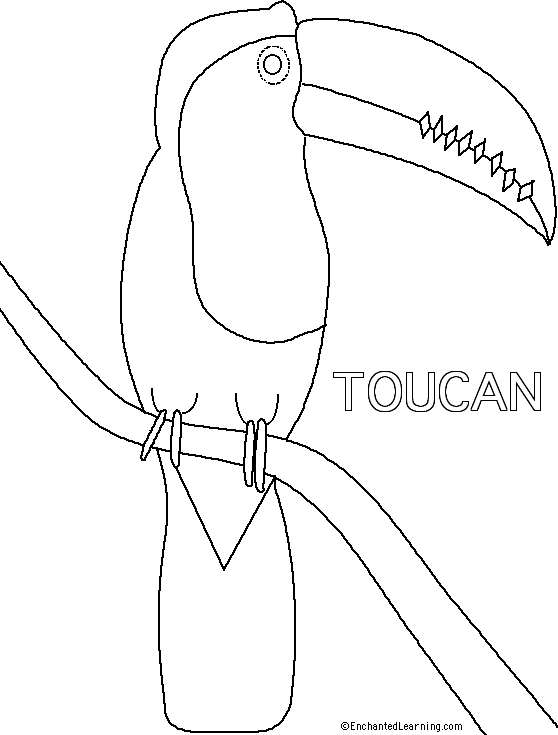 Search result: 'Toucan Printout (simple)'