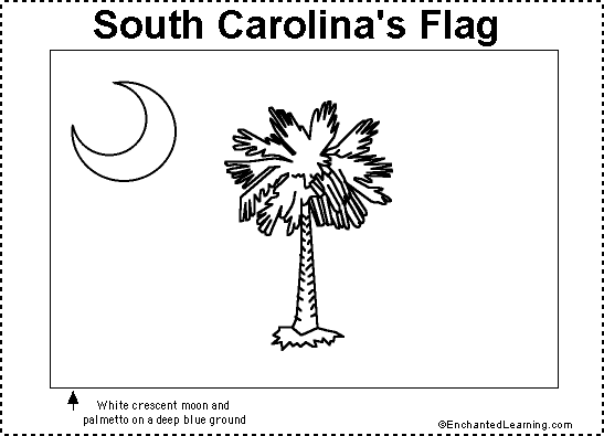 South Carolina flag