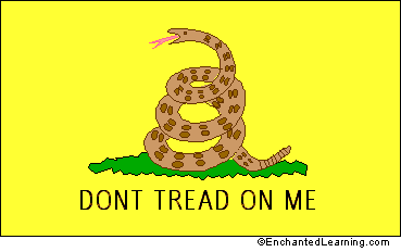 Dont Tread on Me Flag