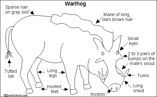 Search result: 'Warthog Printout'
