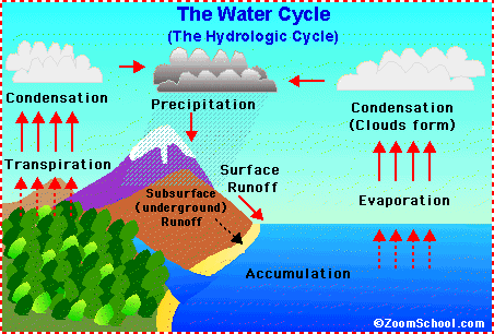 water cycle homework