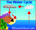 Student Research Activity - Water Cycle Quiz