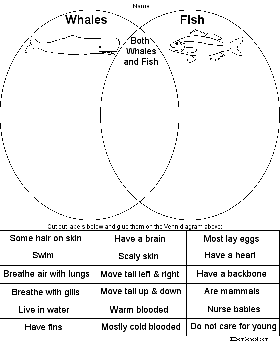 Search result: 'Whales vs. Fish Venn Diagram Print-out'