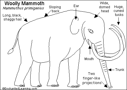 Search result: 'Woolly Mammoth Printout'