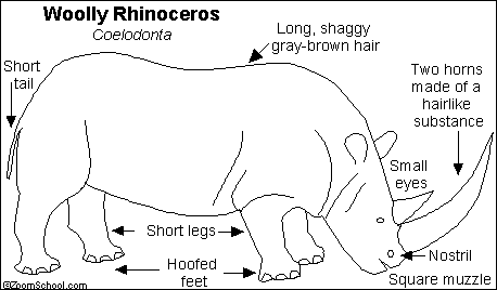 Search result: 'Woolly Rhinoceros Printout'