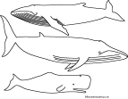 Search result: 'Whales Printout (simple)'