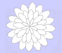 white flower