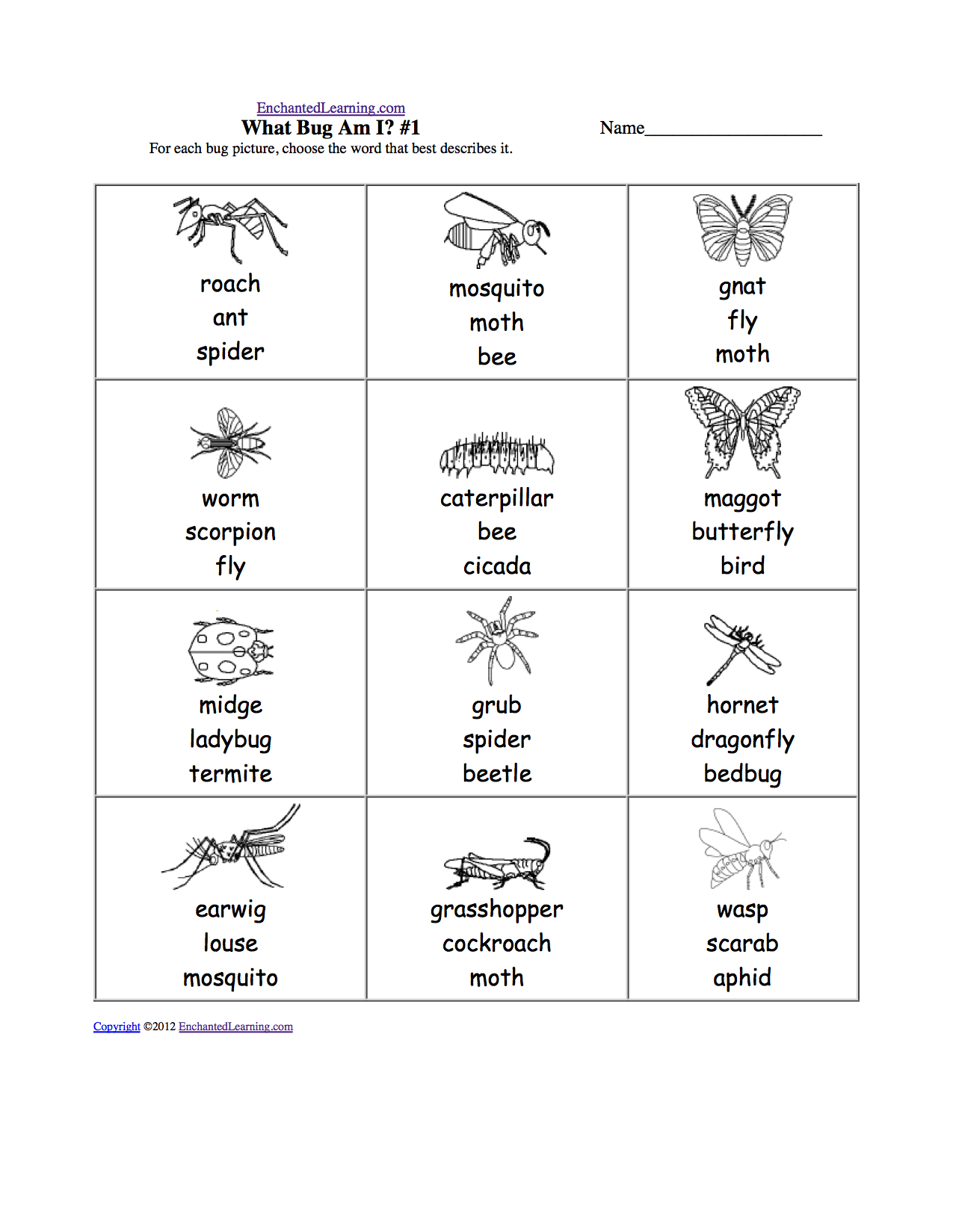 Spelling Worksheets Insects At EnchantedLearning