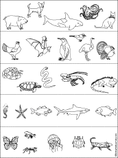 700 Coloring Pages Hibernating Animals Download Free Images