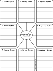 Search result: 'Write Human Body System Words by Category: Printable Worksheet'