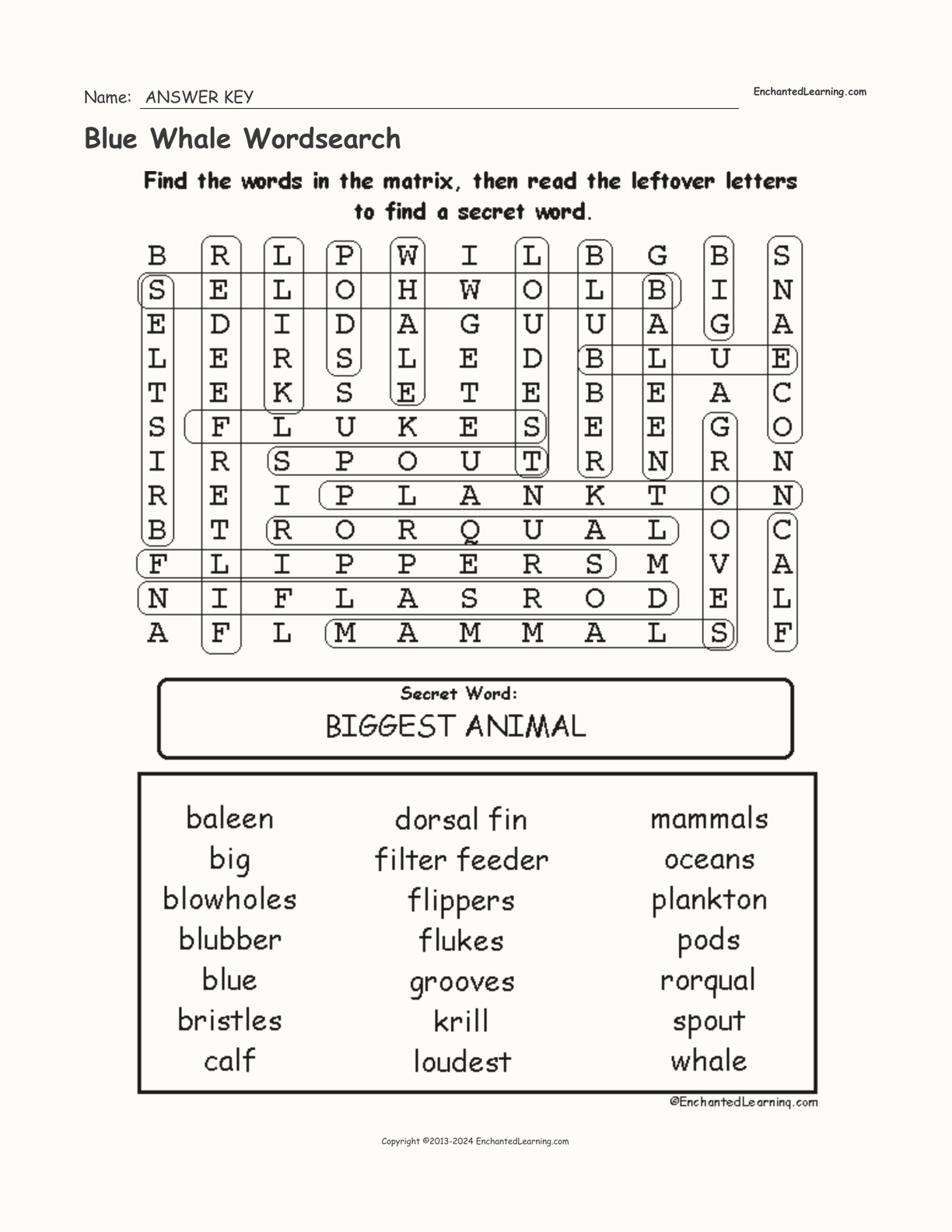 Blue Whale Wordsearch interactive worksheet page 2