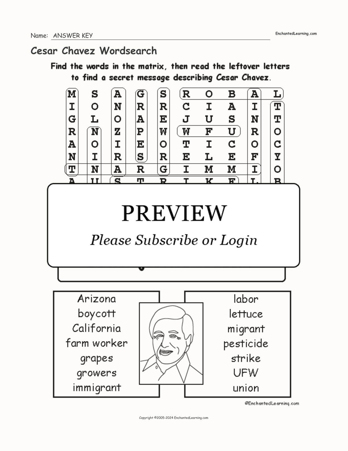 Cesar Chavez Wordsearch interactive worksheet page 2