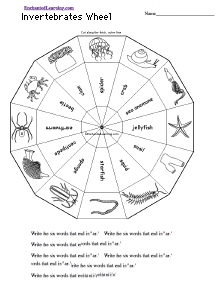 Search result: 'Invertebrates Wheel  - Bottom: Printable Worksheet'