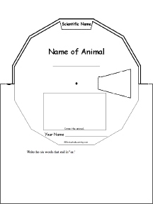Search result: 'Animal Report Wheel : Printable Worksheet'