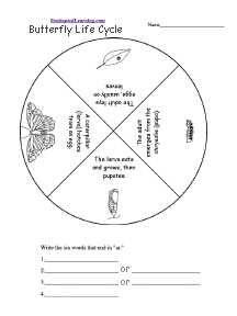 Search result: 'Butterfly Life Cycle Wheel - Bottom: Printable Worksheet'