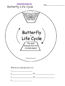 Search result: 'Butterfly Life Cycle Wheel: Printable Worksheet'