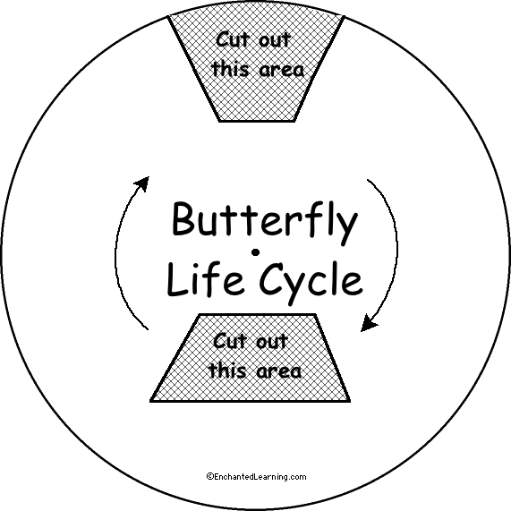 Search result: 'Butterfly Life Cycle Wheel - Top: Printable Worksheet'
