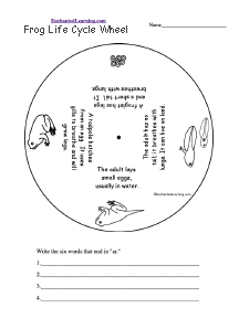 Search result: 'Frog Life Cycle Wheel - Bottom: Printable Worksheet'