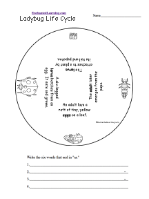 Search result: 'Ladybug Life Cycle Wheel - Bottom: Printable Worksheet'