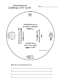 Word Wheel - Bottom