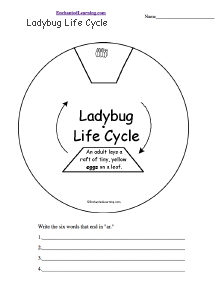 Search result: 'L - Word Wheels: Printable Worksheet'