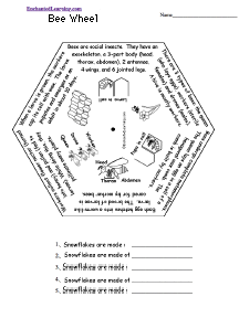 Word Wheel