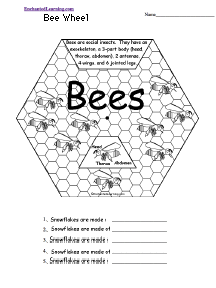 bee wheel printable worksheet enchantedlearning com