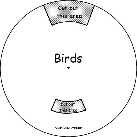 Search result: 'Bird Word Wheel - Top: Printable Worksheet'