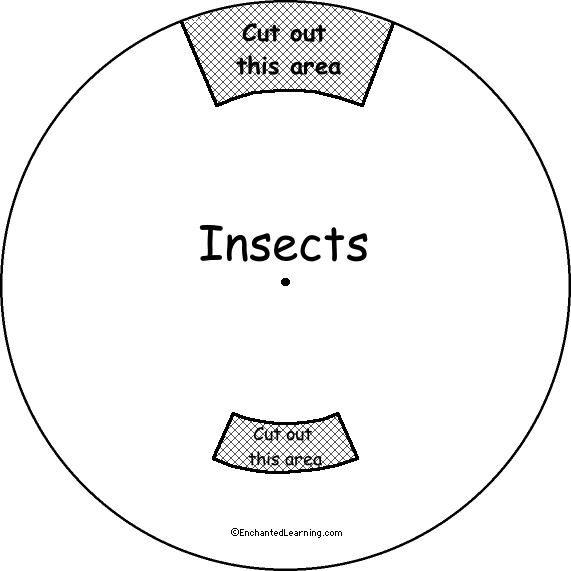 Search result: 'Insect Word Wheel - Top: Printable Worksheet'