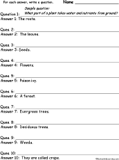 Search result: 'Plant-Related Words: Write a Question for Each Answer'