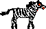 zebra